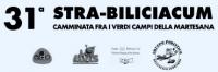 31^ Strabiliciacum Bellinzago Lombardo 28 Settembre 2014